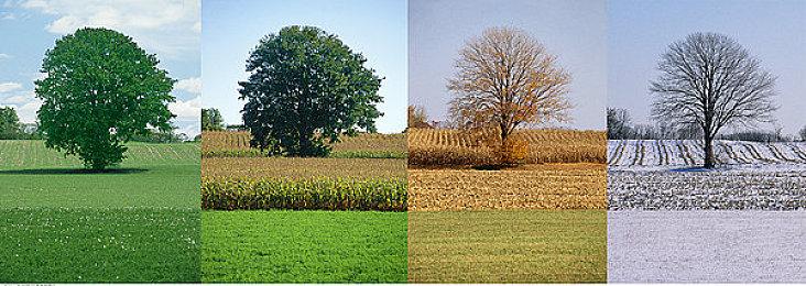 《龙之信条2》怪物会互相战斗 会不小心摔倒变桥梁